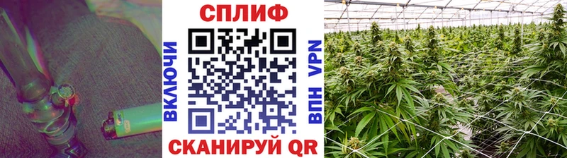 МАРИХУАНА White Widow  Луховицы 